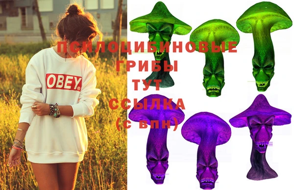 стафф Аркадак