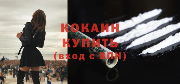 стафф Аркадак