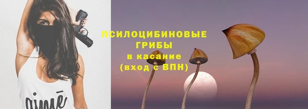 дживик Армянск